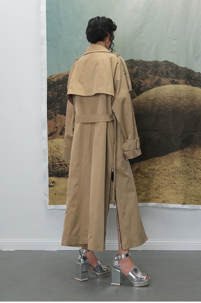 Le manteau de l'artiste